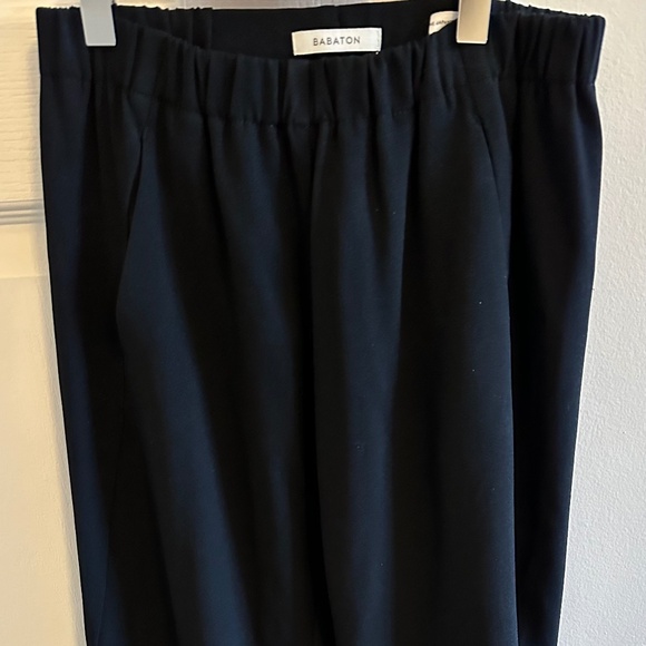 Aritzia Babaton Dexter black pants - Picture 8 of 8